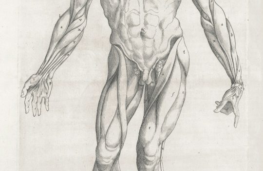 Top 7 Underrated Flashcard & SRS Tools (Anki Add-Ons, RemNote, Mnemosyne) That Grad Students Use to Memorize Terminology Efficiently