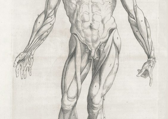 Top 7 Underrated Flashcard & SRS Tools (Anki Add-Ons, RemNote, Mnemosyne) That Grad Students Use to Memorize Terminology Efficiently