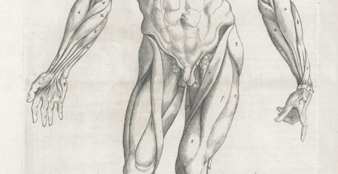 Top 7 Underrated Flashcard & SRS Tools (Anki Add-Ons, RemNote, Mnemosyne) That Grad Students Use to Memorize Terminology Efficiently