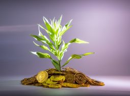 How to Track and Maximize Returns with Finance Share Strategies in 2026