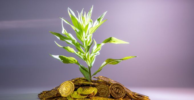 How to Track and Maximize Returns with Finance Share Strategies in 2026