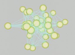 Subdomain vs Subfolder: Subdomains vs Subfolders for Website SEO and Content Organization