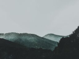 10 Product Launch Email Subject Lines That Increase Open Rates