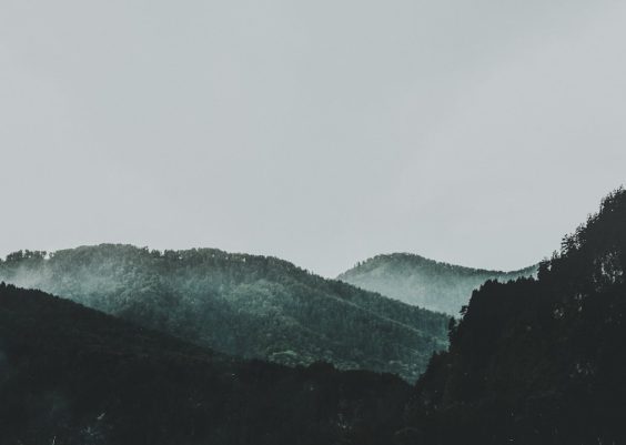 10 Product Launch Email Subject Lines That Increase Open Rates