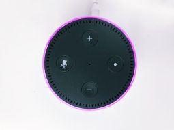 Smart Home Devices That Work With Echo Dot: Ultimate Guide