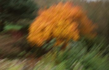 Why Are My ChatGPT Images Low Quality? Best Fixes