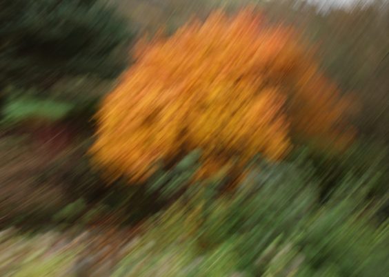 Why Are My ChatGPT Images Low Quality? Best Fixes