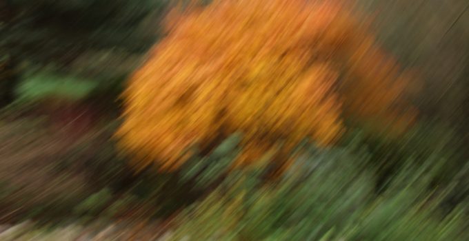 Why Are My ChatGPT Images Low Quality? Best Fixes