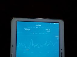 Maximizing SEO Impact: How a DoFollow Backlink Checker Can Help