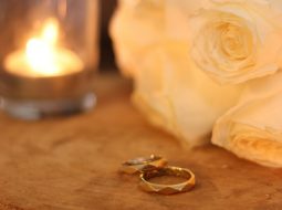 Who Is Tracey Hinds: A Comprehensive Look at His Life, Career, and Public Interest