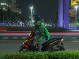 Self Cleaning Streetlight Oil Palm Waste: A Complete Guide