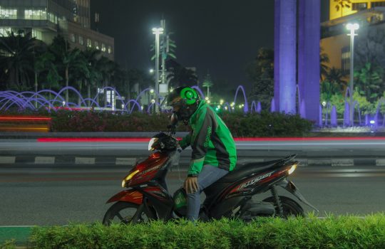 Self Cleaning Streetlight Oil Palm Waste: A Complete Guide