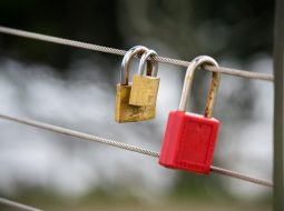 Resolution Sugarylove.net Conflict: A Clear, People-First Guide