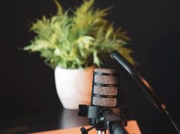 8 Best Off-the-Shelf Training Courses for Corporate Learning and Employee Development