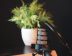8 Best Off-the-Shelf Training Courses for Corporate Learning and Employee Development