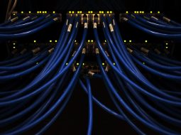 The Technology Ideas That Accelerated the Web