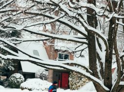 Does The United States Postal Service Deliver On Christmas Eve In 2026? Full Holiday Delivery Guide