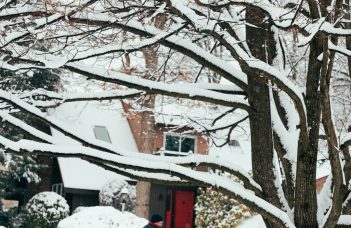 Does The United States Postal Service Deliver On Christmas Eve In 2026? Full Holiday Delivery Guide