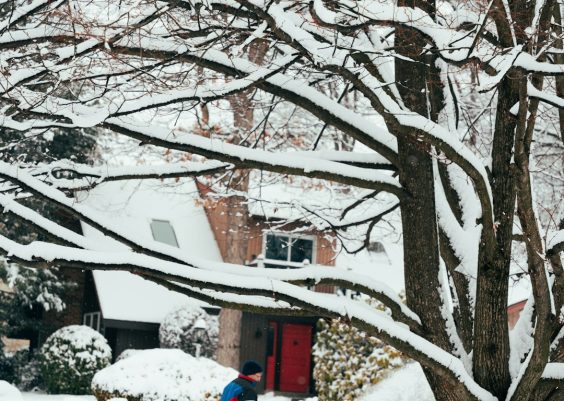 Does The United States Postal Service Deliver On Christmas Eve In 2026? Full Holiday Delivery Guide