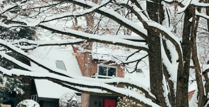 Does The United States Postal Service Deliver On Christmas Eve In 2026? Full Holiday Delivery Guide