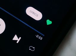 Spotify Not Playing Songs? Fix Offline Mode, Cache, and Streaming Errors