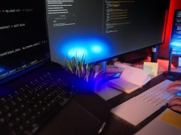 Who Should Build Your Website? A Look at the Top WordPress Development Company Options