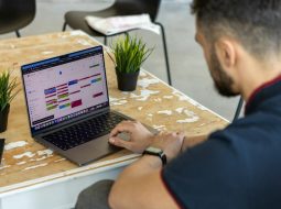 Does MyVisaGate.com Have a Blog? How Its Content Compares With Other Visa and Immigration Websites