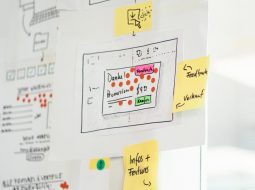 Rose Bud Thorn: Miro vs Mural for Retrospective Feedback Sessions